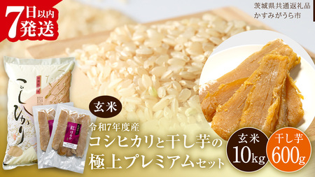 y ߘa7NY z RVqJ E  ɏv~A Zbg s  t (10kg^600g) (錧ʕԗi ݂sY) [EX025sa]