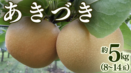 �����Â� �� 5kg �i8�`14�ʁj [BQ022sa]