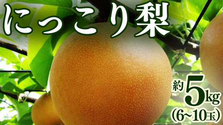 �ɂ����藜 �� 5kg �i6�`10�ʁj [BQ023sa]