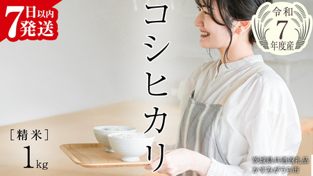 [ 令和7年産 ] コシヒカリ 精米 1kg (茨城県共通返礼品 かすみがうら市) 5000 [EX029sa]