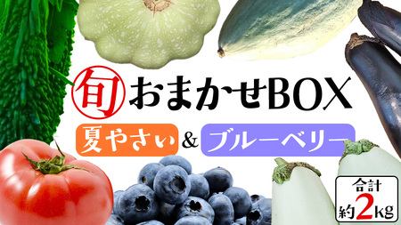 夏野菜 と ブルーベリー の おまかせBOX 計 約2kg[DZ019sa]