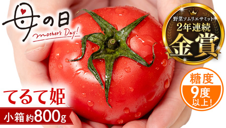 [母の日専用] スーパーフルーツトマト てるて姫 小箱 約800g ×1箱 糖度9度以上 [5月4日〜10日お届け メッセージカード付][BC096sa]