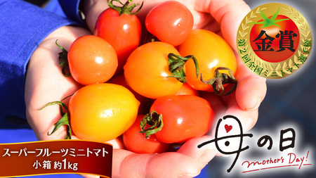 [母の日専用] スーパーフルーツミニトマト 小箱 約1kg ×1箱 [5月4日〜10日お届け メッセージカード付] [BC097sa]