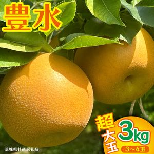 豊水 超大玉 約 3kg 3〜4玉 (茨城県共通返礼品:かすみがうら市) [DH023sa]