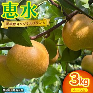 恵水 約 3kg 4〜6玉 (茨城県共通返礼品:かすみがうら市) [DH024sa]