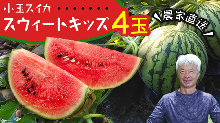 小玉 スイカ スウィートキッズ 4玉 2026年 [CQ008sa]