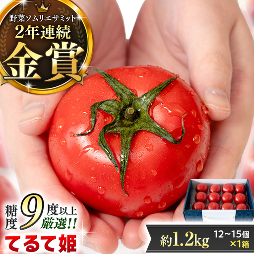 《 2027年 収穫分 》4～5月配送 スーパーフルーツトマト てるて姫 中箱 約1.2kg × 1箱 【12〜15玉/1箱】 糖度9度以上 定期便 先行予約 フルーツトマト ブランドトマト 野菜 ギフト 贈答 青空レストラン アド街ック天国 グッドモーニング 黄金のワンスプーン 昼めし旅 [BC033sa0405]
 