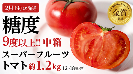 [令和5年2月上旬より順次発送] スーパーフルーツトマト 中箱 1.2kg 糖度9度以上 トマト とまと 野菜 [BC002sa]