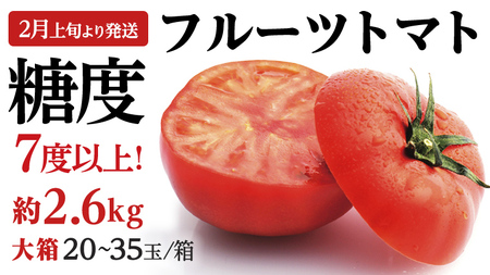 [ 2026年収穫分 先行予約 ] 糖度7度以上 フルーツトマト 大箱 約2.6kg × 1箱 (20〜35玉/1箱) ブランドトマト 野菜 ギフト 贈答 [BC018sa]