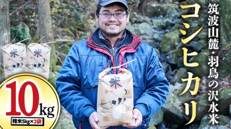 ߘa7NY }gR[ E H̑򐅕 RVqJ 10kg [BN001sa]