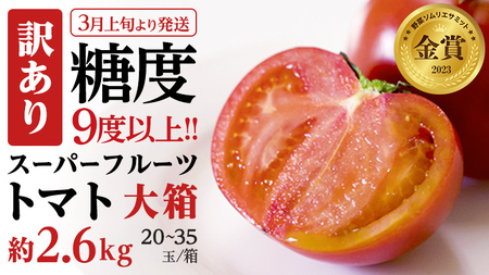 [2024年3月上旬発送開始][訳あり] スーパーフルーツトマト 大箱 約2.6kg×1箱(20〜35玉) 糖度9度以上 トマト とまと 野菜 [BC038sa]
