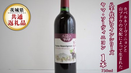 八千代夢ワインシリーズ ヤマ・ソーヴィニョン(赤ワイン) 1本 ( 茨城県共通返礼品 八千代町 ) [BW002sa]