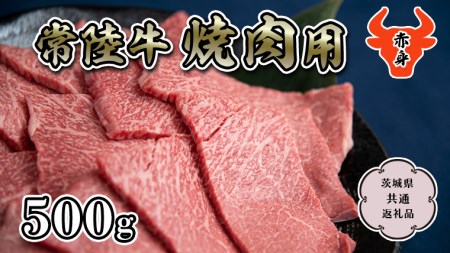 [常陸牛]赤身 焼肉用500g (茨城県共通返礼品) 国産牛 和牛 お肉 焼肉 焼肉用 バーベキュー BBQ A4ランク A5ランク ブランド牛 [CD006sa]