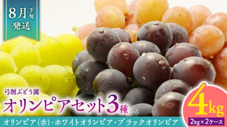 [2025年8月下旬より発送開始] 幻のぶどう オリンピア 3種 Bセット 合計約4kg(約2kg×2ケース) ぶどう ブドウ 幻の オリンピア ホワイト ブラックオリンピア セット フルーツ 果物 産地直送 茨城県 桜川市 [AC004sa]