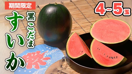 【2025年7月上旬から発送開始】黒こだま すいか 4～5玉 スイカ すいか 西瓜 黒こだま おやつ 夏 [BQ001sa］