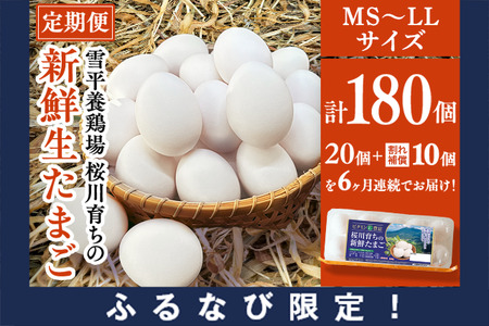[ふるなび限定][6ヵ月定期便]雪平養鶏場 桜川育ちの 新鮮 たまご 合計180個 (20個+10個割れ補償付)×6回 [SC034sa] FN-Limited-PR