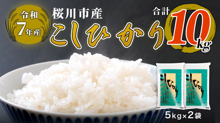 【 令和7年産 】数量限定 桜川市産 こしひかり 10kg（5kg×2袋） 茨城県産 桜川 米 お米 白米 コメ ごはん 精米 コシヒカリ こしひかり 国産 限定 [AX009sa]