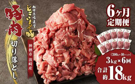 y6ցz ؓ ؂藎Ƃ 3kg(300g×10pbN)×6 v 18kg   ̓  錧 _s