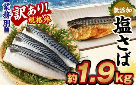 訳あり規格外 業務用無添加塩さば 1.9kg