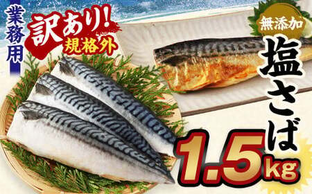 [訳あり規格外] 業務用無添加塩さば 1.5kg 鯖 さば 塩サバ 干物 魚