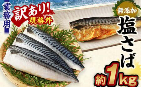 [訳あり規格外] 業務用 無添加 塩さば 1kg 鯖 さば 塩サバ 干物 魚