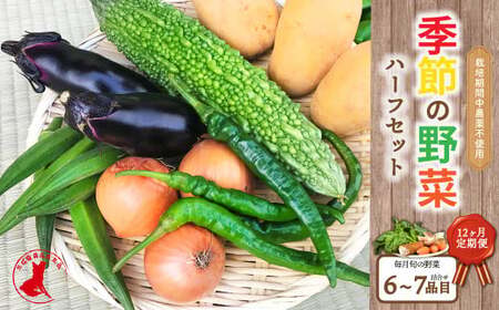 [茨城県共通返礼品][12ヵ月定期便]栽培期間中農薬不使用 季節の野菜ハーフセット(6〜7品)