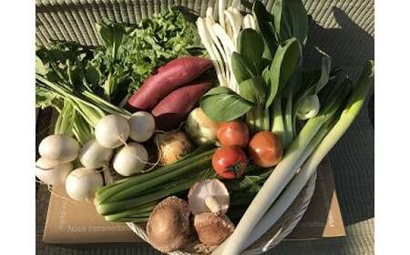[3ヶ月定期便]自然栽培野菜10〜12品目(3・4月は白米5kg)野菜 米 白米 詰合せ