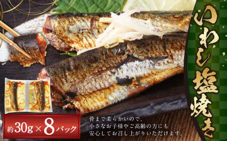 いわし 塩焼き 約30g × 8パック ( 16食 ) 計240g 国産 鰯 イワシ 魚 魚介 海鮮 焼き魚 焼魚 常温