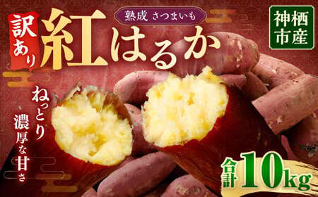 【 訳あり 】“熟成” 茨城県産 神栖市産 さつまいも 【 紅はるか 】 約10kg 芋 いも サツマイモ 野菜 やさい 国産
