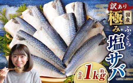 [訳あり]国産 ふっくら 極み塩サバ 計約1kg / 1切れ 塩サバ 塩さば 塩鯖 さば サバ 鯖 魚