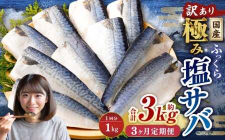 [3ヶ月定期便][訳あり]国産 ふっくら 極み塩サバ 計約1kg / 1切れ 塩サバ 塩さば 塩鯖 さば サバ 鯖 魚