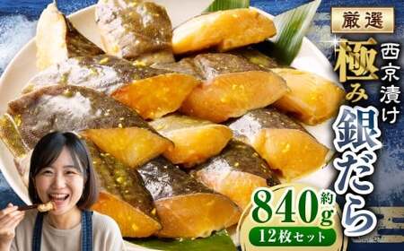 Ђ ɂ݋₾ 12Zbg ^ 840g X ₾ L  ^  CN  Ђ Ћ Ă ؂g ؐg  ܂ Zbg 錧 _s Ⓚ