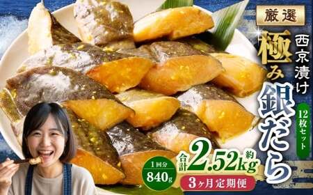 y3ցzЂ ɂ݋₾ 12Zbg ^ v2.52kg 3 3 X ₾ L  ^  CN  Ђ Ћ Ă ؂g ؐg  ܂ Zbg  錧 _
