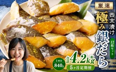 y5ցzЂ ɂ݋₾ 12Zbg ^ v4.2kg 5 5 X ₾ L  ^  CN  Ђ Ћ Ă ؂g ؐg  ܂ Zbg  錧 _