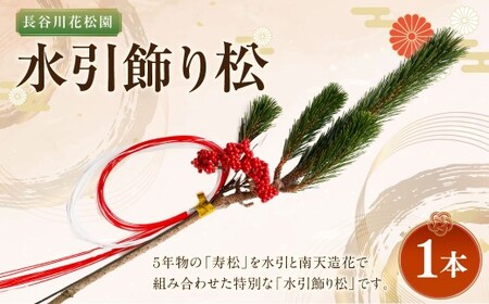 [2025年10月上旬〜2026年3月下旬迄発送予定]水引飾り松 1本 寿松 松 5年物 水引 造花南天 南天 ハウス栽培 お正月 お祝い 引き出物 御中元 プレゼント
