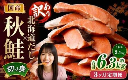 y3ցz m󂠂n YH kC؂g 2.1kg×3 v6.3kg ^  Ⴏ VP H VRH ؐg ؂g   z  uh o`  o` Ⓚ