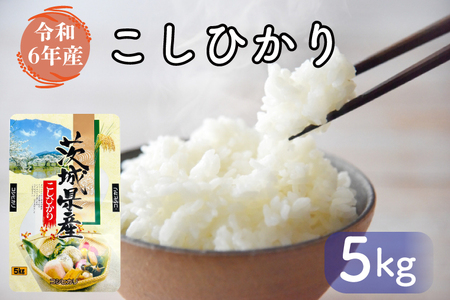 お米好き必見! 7日以内に発送!![令和6年産]茨城県の恵み こしひかり5kg(5kg×1袋) 〜茨城県自慢のこしひかり〜 行方市 新鮮 おいしい お米 送料無料 白米 精米 国産 ごはん ご飯 白飯 ゴハン ごはんおとも