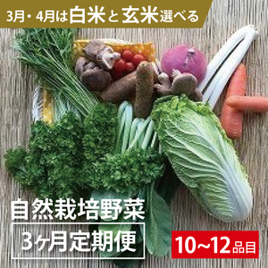 3ヵ月定期便「自然栽培野菜」10〜12品目(3月4月は白米または玄米5kg)