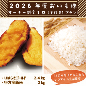 yB1vz2026NxI[i[x 1b܂  Tc}C    I[i[ ΂炫S[h   ۂۃt@[ ̌ _ 錧 ss(CQ-6-1)