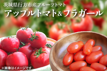★数量限定★東山農園のアップルトマトとフラガール 合計約1kg