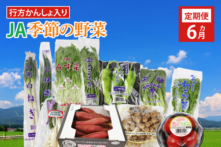 『行方かんしょ』入り[6ヶ月定期便]JAなめがたしおさい 季節の野菜セット(毎月1回 計6回発送)