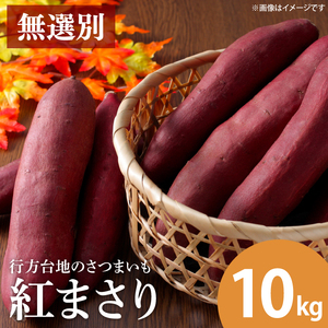 [緊急支援品]無選別 行方台地のさつまいも 熟成紅まさり 約10kg|さつまいも 芋 サツマイモ いも 紅まさり 無選別 熟成 茨城県 行方市(CU-300-1)