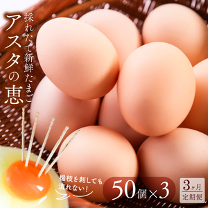 ◆3ヵ月定期便◆ 黄身がしっかり濃厚な卵[アスタの恵み]50個×3