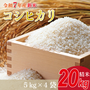 y2025N9{菇zVāR7NY RVqJ 20kg(5kg×4)b    V R7NY ߘa7NY Ђ RVqJ 錧 錧Y ss(HA-15)