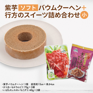 oEN[w(\tg){s̃XC[clߍ킹()bَq XC[c oEN[w Ƃ O~ lߍ킹 Zbg 錧 ss(AE-103)