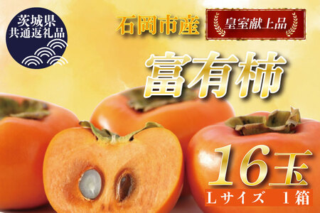 [2025年11月中旬より順次発送][茨城県共通返礼品/石岡市]献上柿出荷組合の富有柿L 16玉|柿 カキ 富有柿 フルーツ くだもの 果物 共通返礼品 茨城県 石岡市 行方市(DR-4-1)