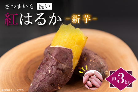 [2026年9月より順次発送]農産物直売所「やさいの声」さつまいも 紅はるか 新芋 洗い 約3kg