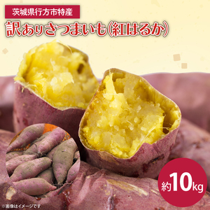 【2025年12月より順次発送】茨城県産 紅はるか 訳あり サイズミックス　約10kg｜訳あり わけあり 訳アリ さつまいも サツマイモ さつま芋 紅はるか べにはるか 芋 いも 茨城県産 行方市(FU-4)