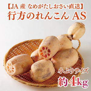 JAなめがたしおさい直送 行方のれんこんAS・約4kg(小ぶりサイズ)(AE-114)