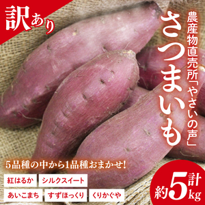 農産物直売所「やさいの声」★訳あり★さつまいも(品種おまかせ) 約5kg|さつまいも 芋 サツマイモ 訳あり わけあり ワケアリ おまかせ 5kg 紅はるか シルクスイート すずほっくり くりかぐや あいこまち(EK-14)